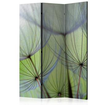 Room Divider Fleeting Moments - whimsical dandelion flowers on a light green background