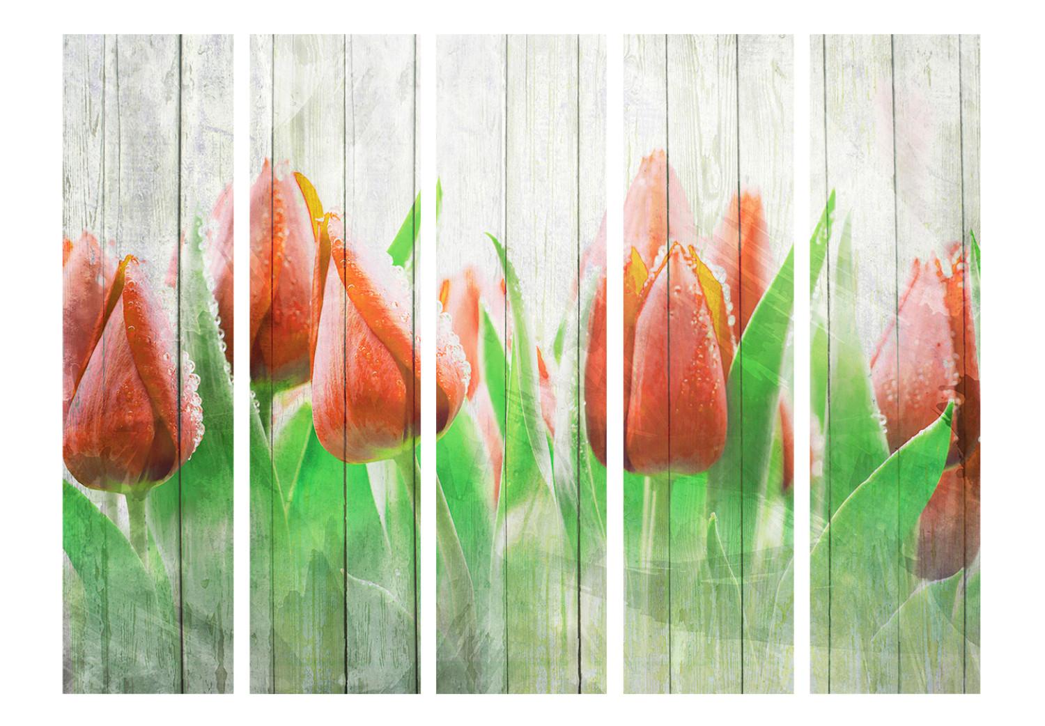 Room Divider Red Tulips on Wood II - tulip flowers on a wooden background