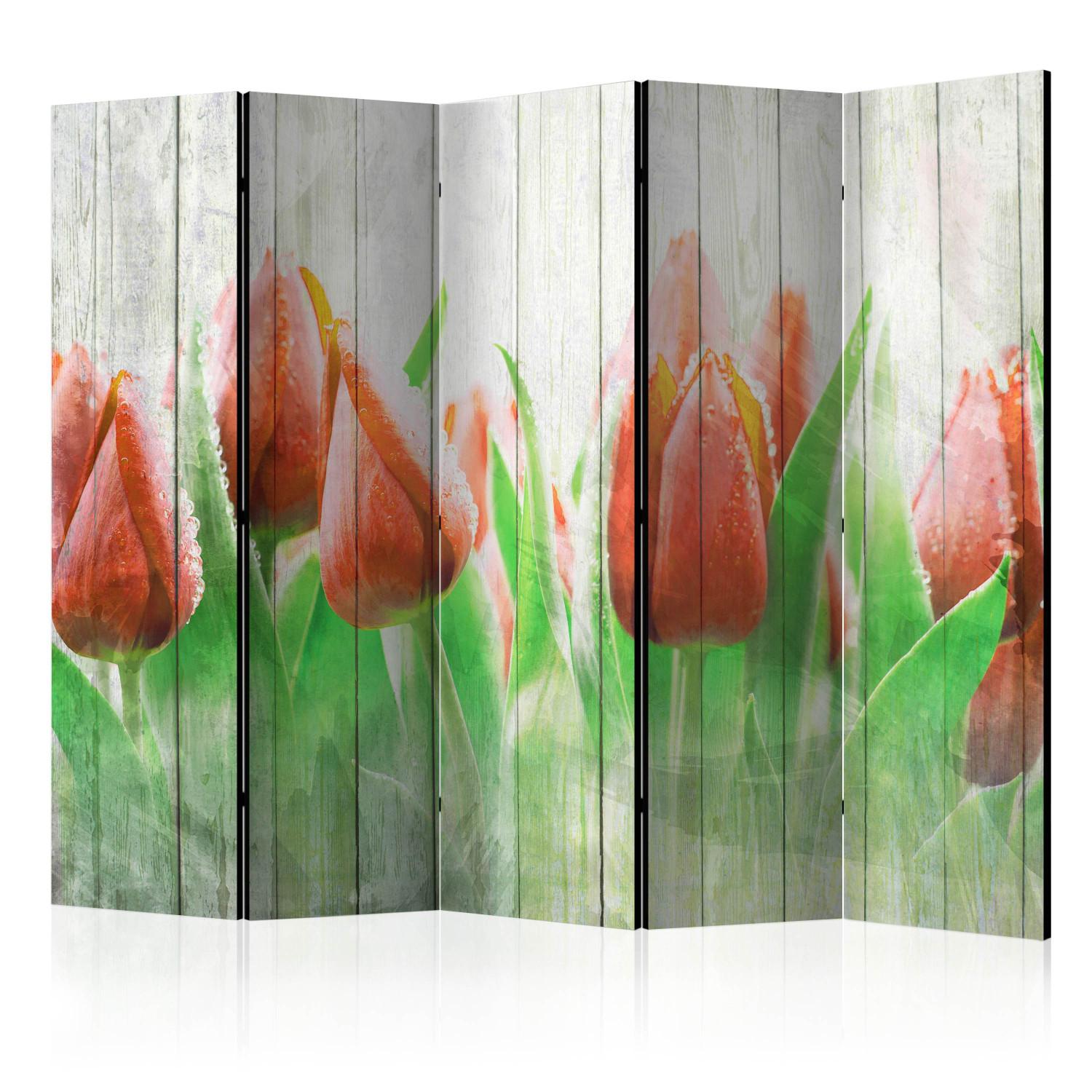 Room Divider Red Tulips on Wood II - tulip flowers on a wooden background