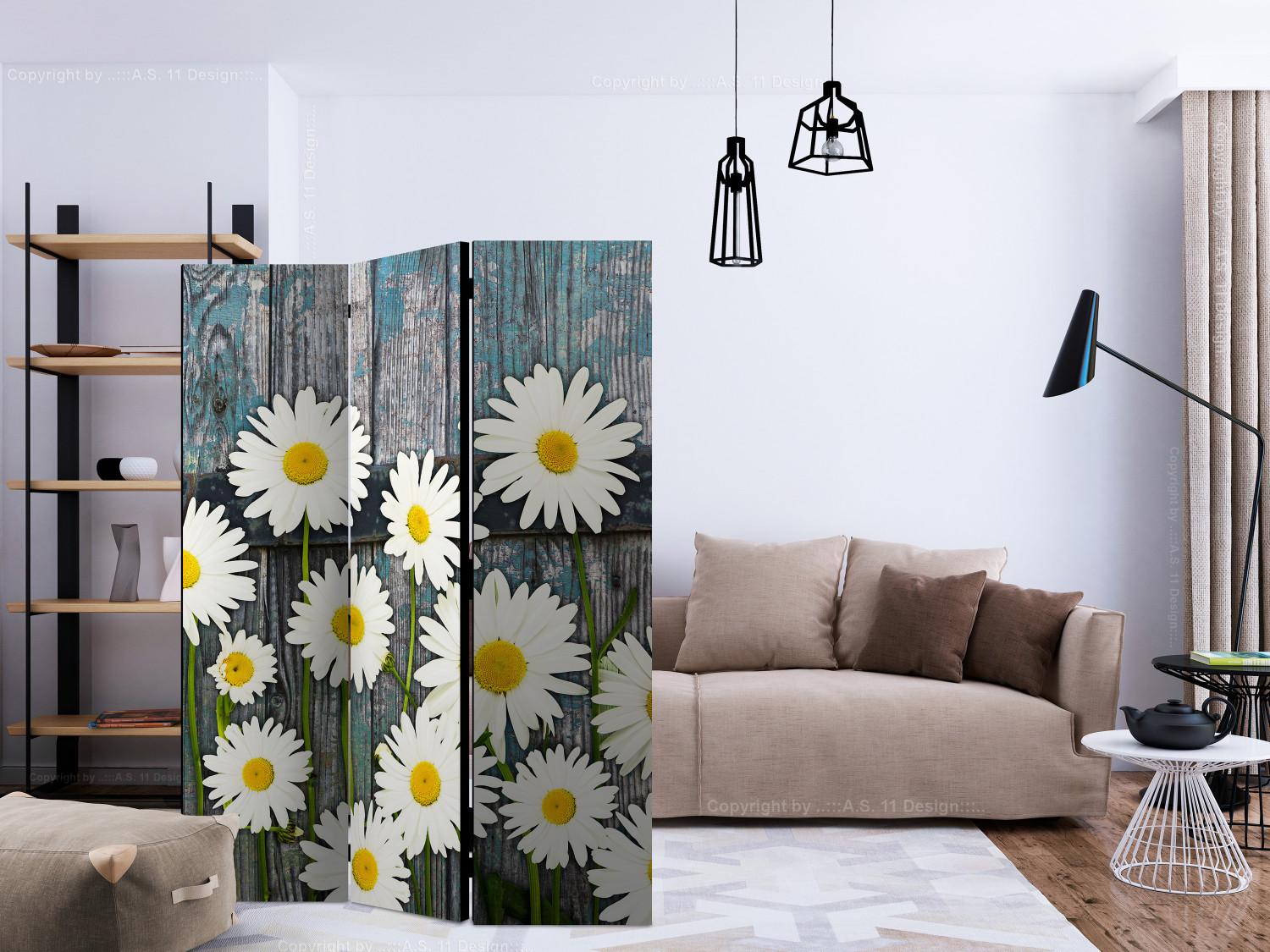 Room Divider Return to Innocence - composition of white daisies on a wooden plank background