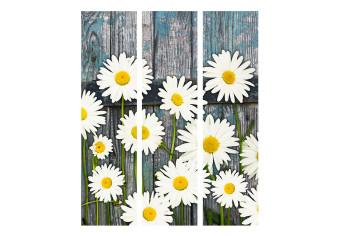 Room Divider Return to Innocence - composition of white daisies on a wooden plank background