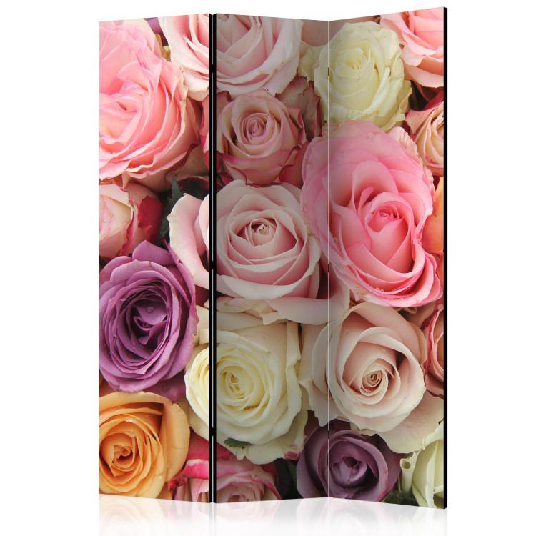 Room Divider Pastel roses [Room Dividers]