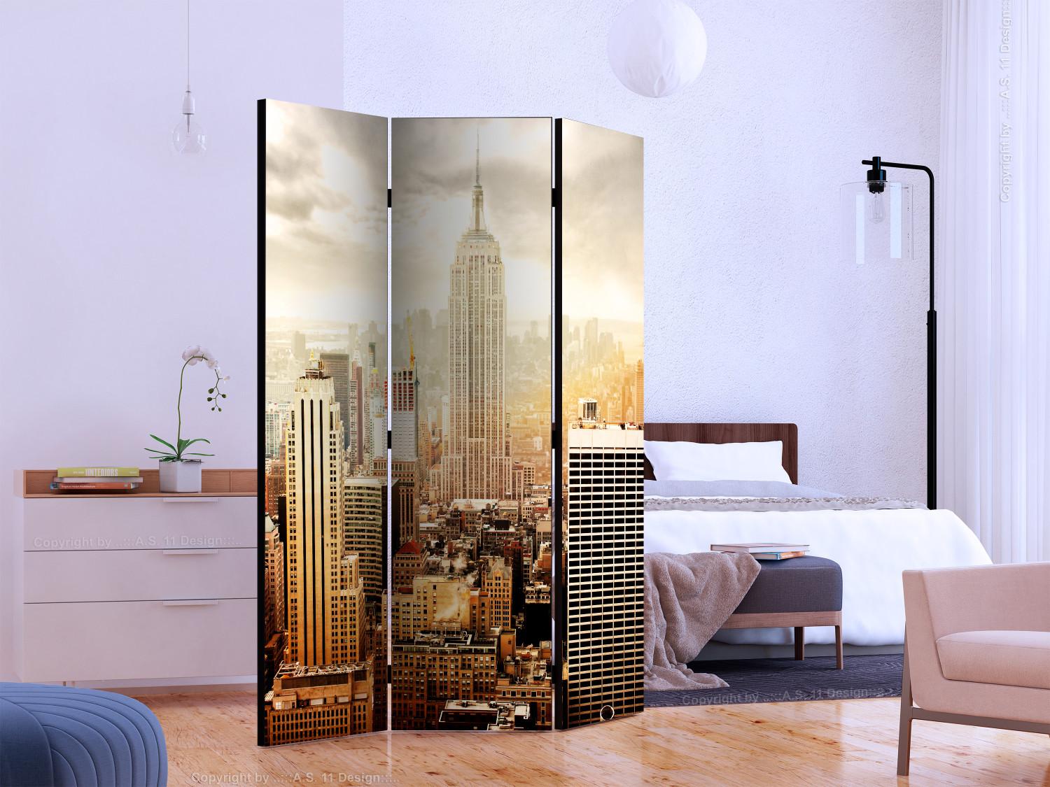 Room Divider Windswept - New York architecture with bright sunlight glare
