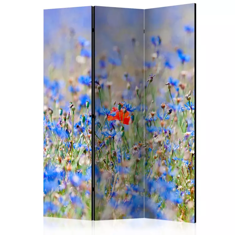 Meadow in Sky Blue - Cornflowers - summer landscape of blue flowers