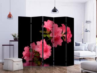 Room Divider Azalea in Black II - romantic flowers on a black background