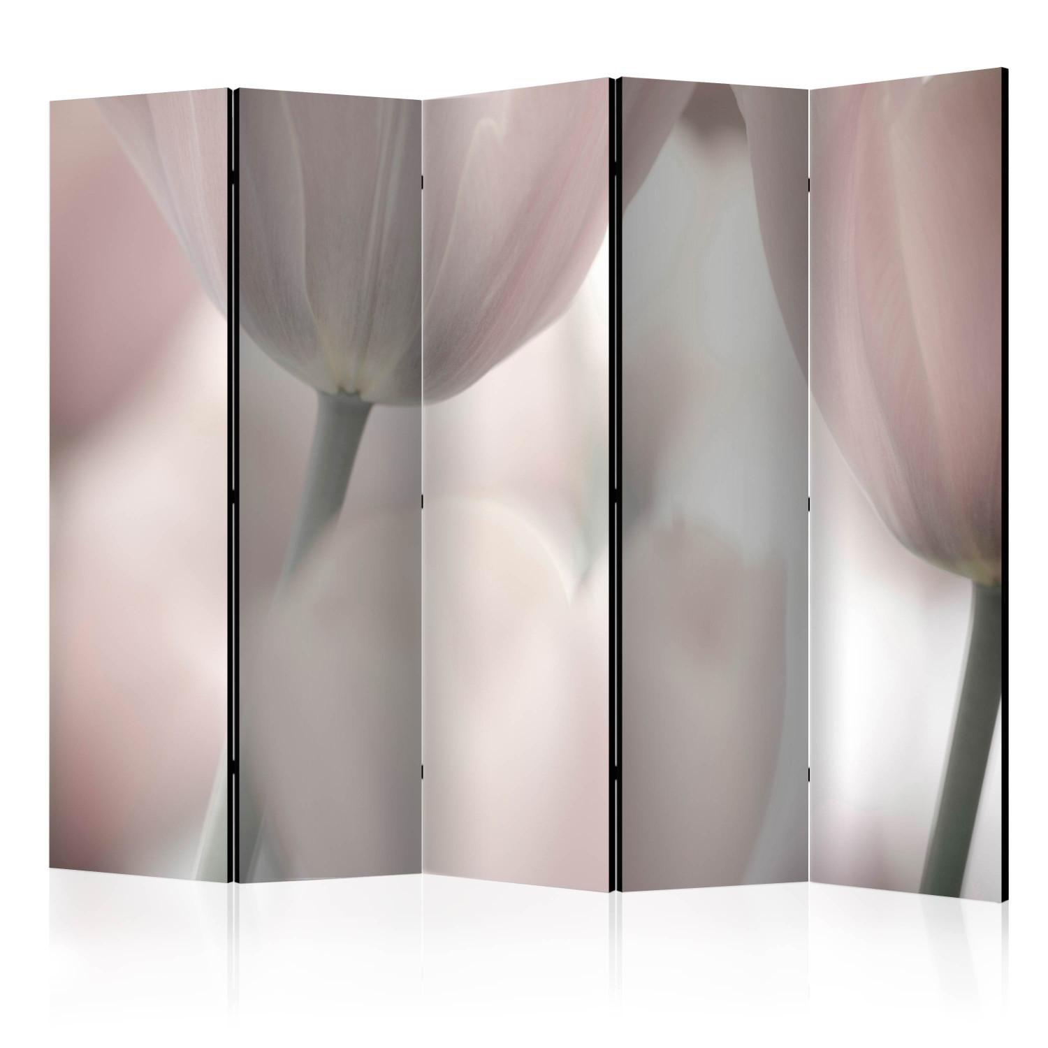 Room Divider Tulips Fine Art - Black and White II - tulips in faded colors