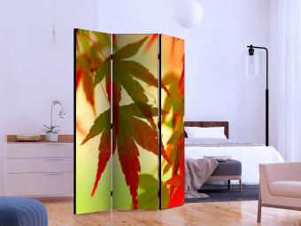 Room Divider Colorful Leaves - tree with red-green leaves on a light background