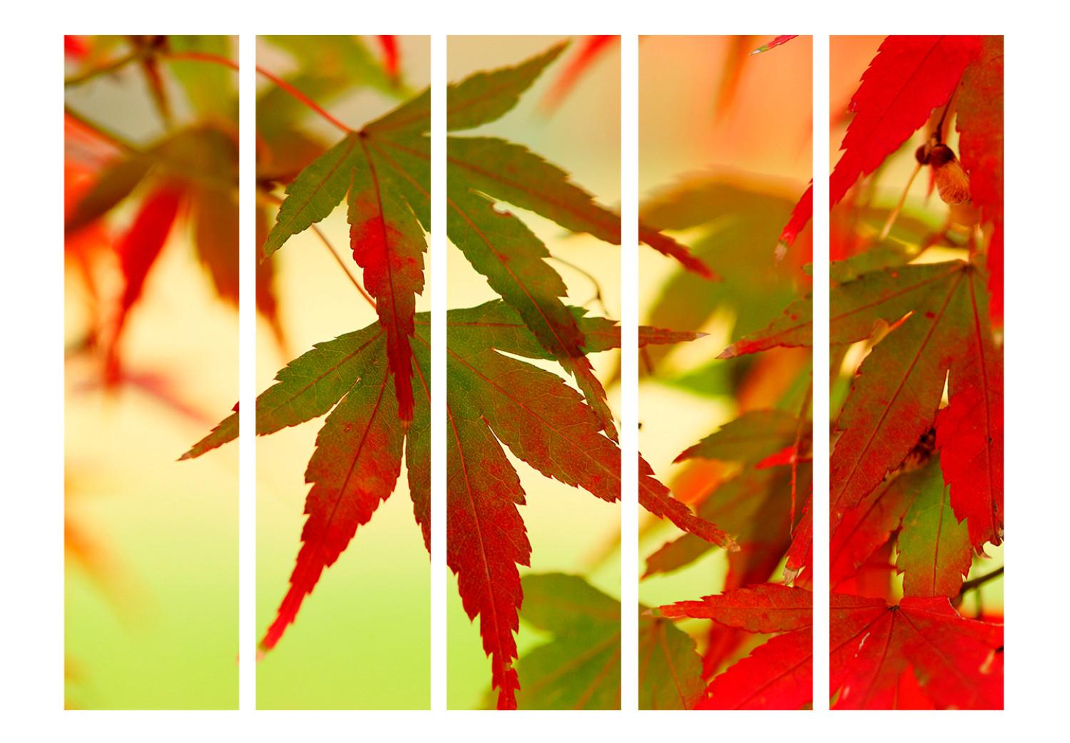 Room Divider Colorful Leaves II - tree with red-green leaves on a light background