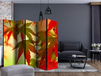 Room Divider Colorful Leaves II - tree with red-green leaves on a light background