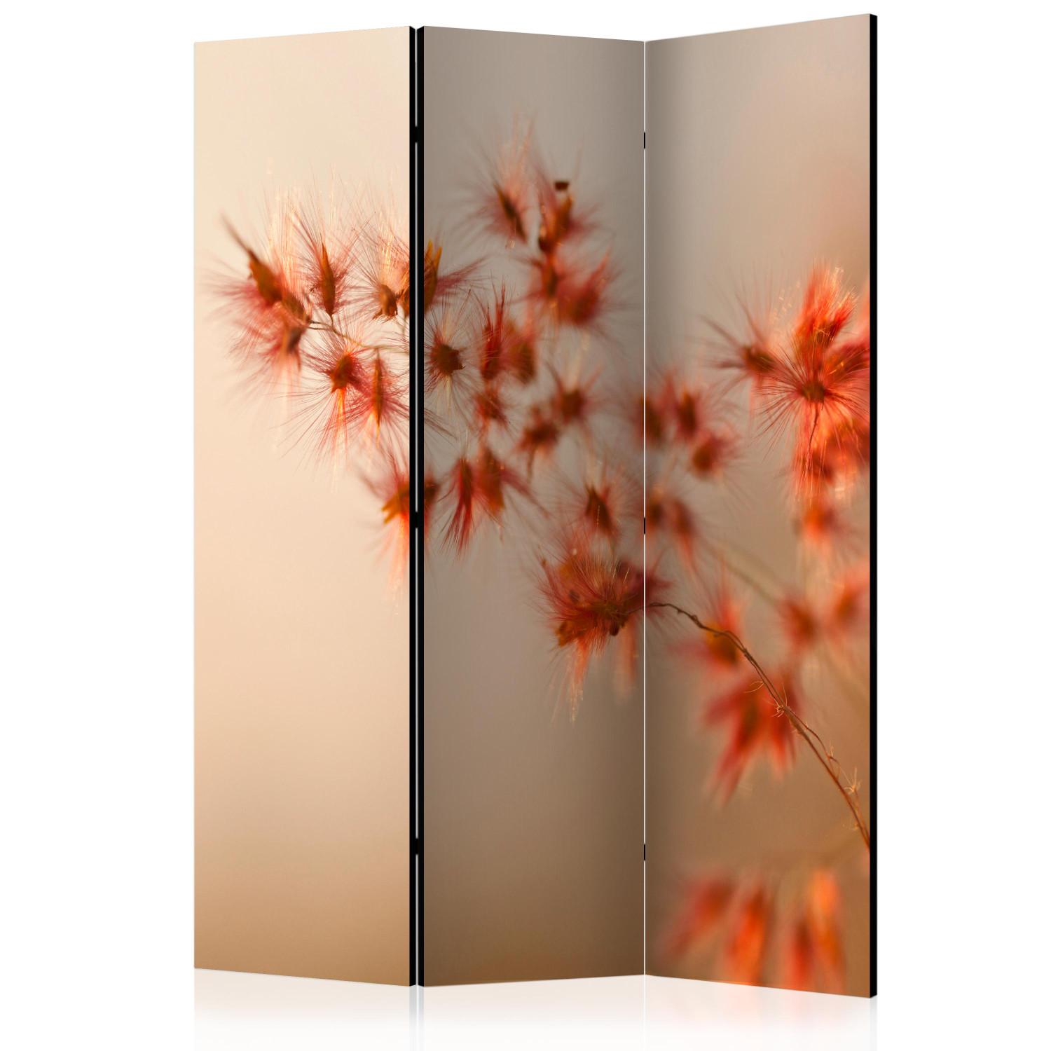 Room Divider Closer to Nature II - plant with orange flowers on a light background