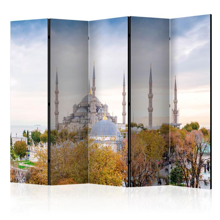 Room Divider Hagia Sophia - Istanbul II [Room Dividers]