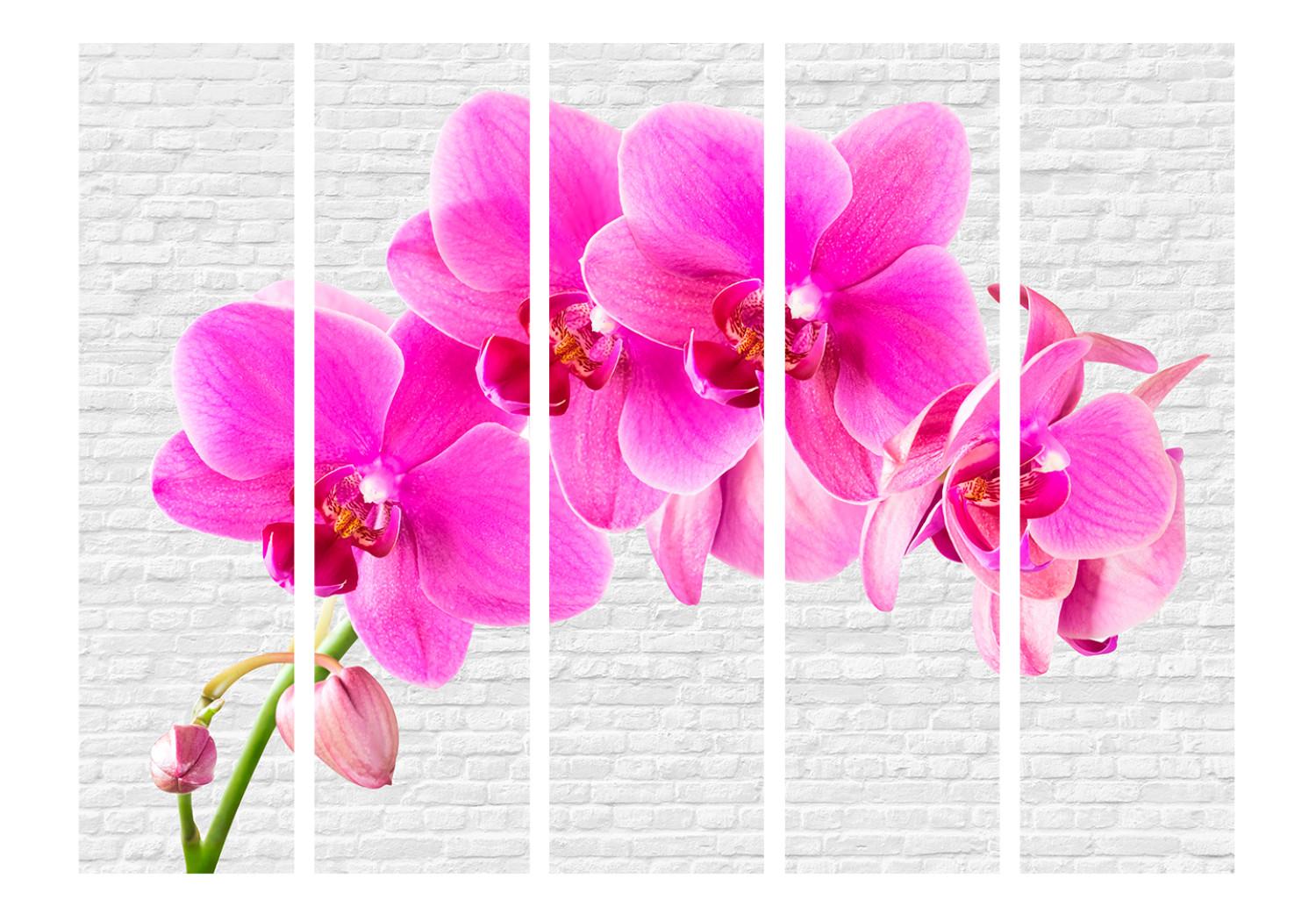 Room Divider Pink Excitement II - pink orchid flower on a white brick background