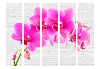 Room Divider Pink Excitement II - pink orchid flower on a white brick background