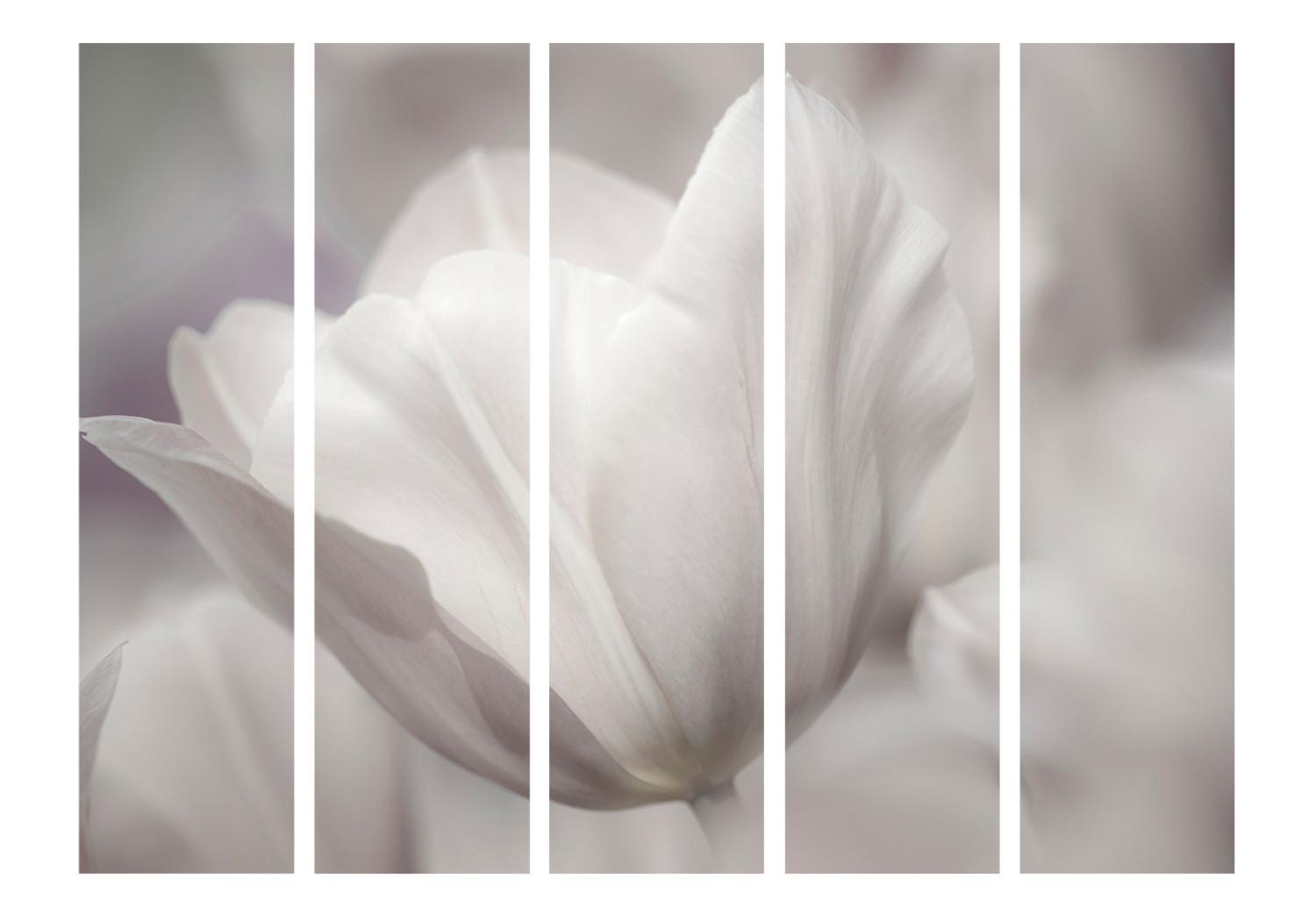 Room Divider Tulip - Black and White Photo II - tulip flower in faded colors