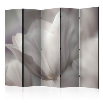 Room Divider Tulip - Black and White Photo II - tulip flower in faded colors