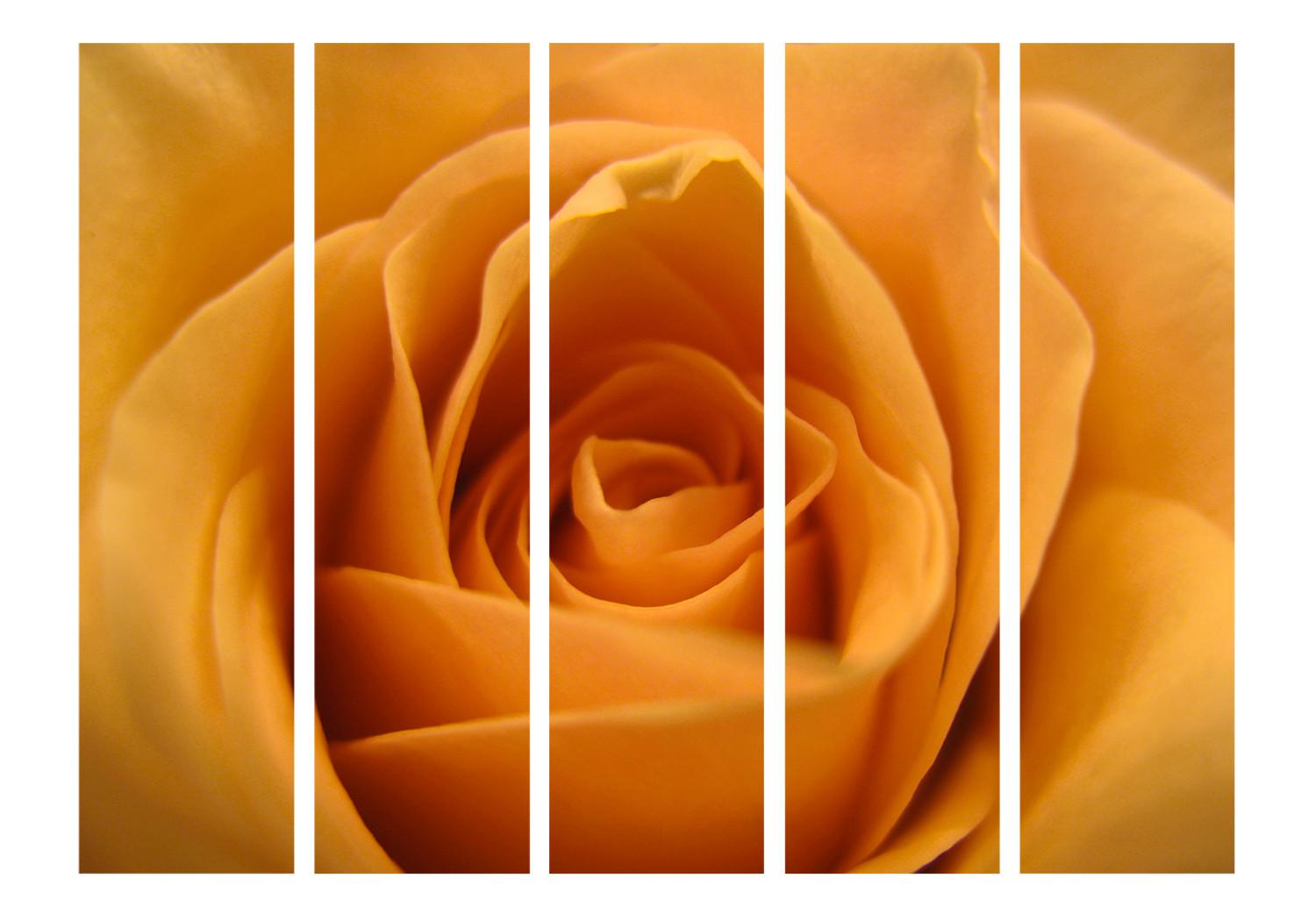 Room Divider Yellow Rose - Symbol of Friendship II - composition of a yellow-colored plant