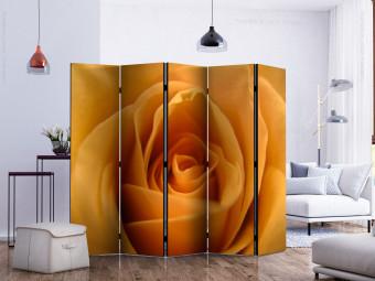 Room Divider Yellow Rose - Symbol of Friendship II - composition of a yellow-colored plant