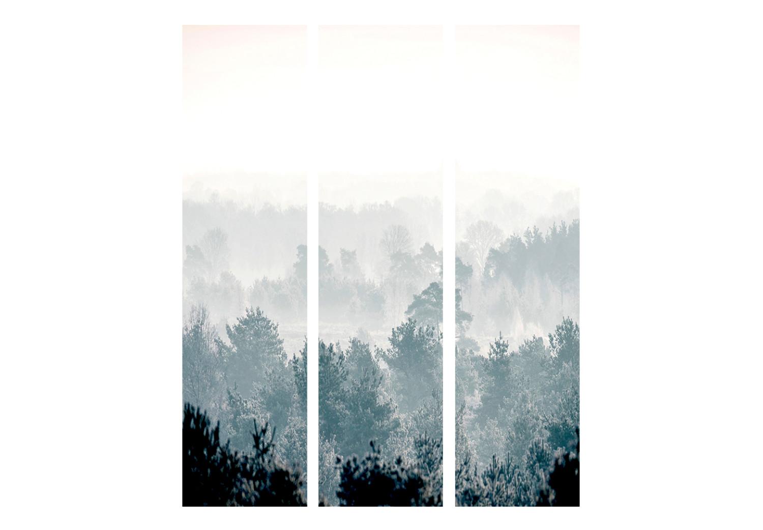 Room Divider Winter Forest - misty forest landscape against a bright sky