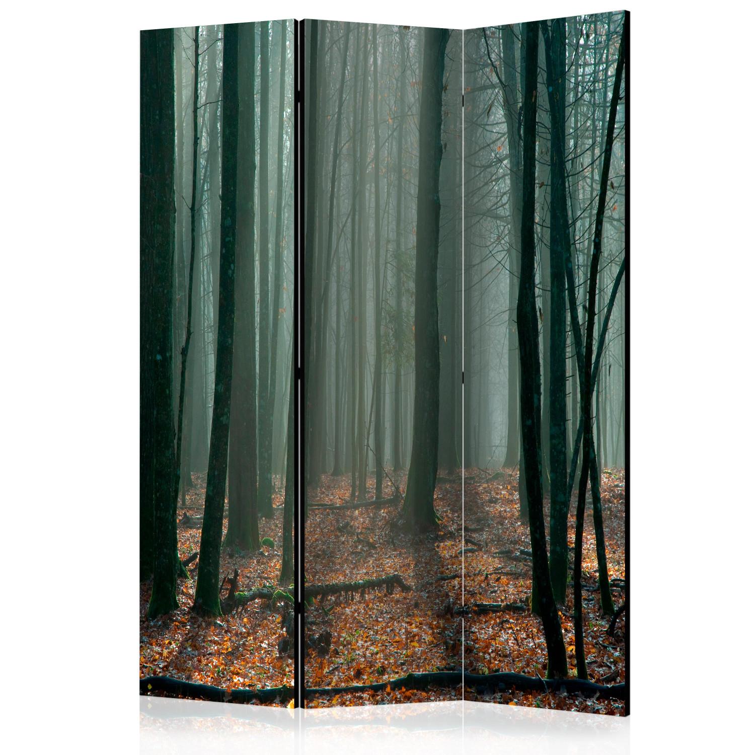 Room Divider Witches' Forest - fantasy forest landscape in misty dark ambiance