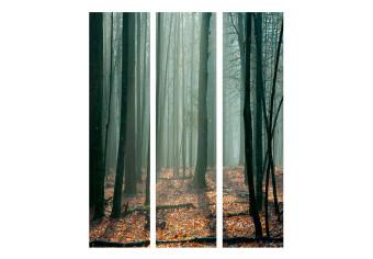 Room Divider Witches' Forest - fantasy forest landscape in misty dark ambiance