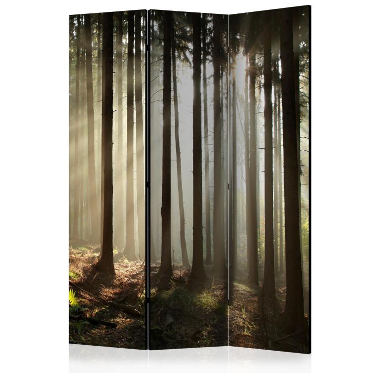Room Divider Coniferous forest [Room Dividers]