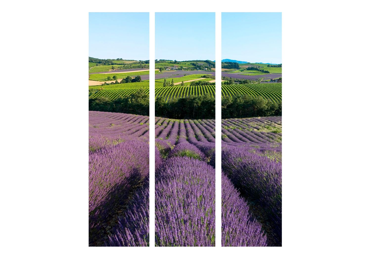 Room Divider Lavender Fields (3-piece) - Provencal landscape with purple flowers