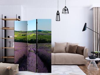 Room Divider Lavender Fields (3-piece) - Provencal landscape with purple flowers