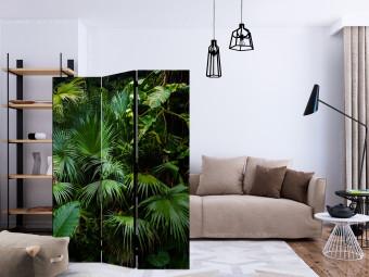 Room Divider Sunny Jungle (3-piece) - green leaves of tropical plants