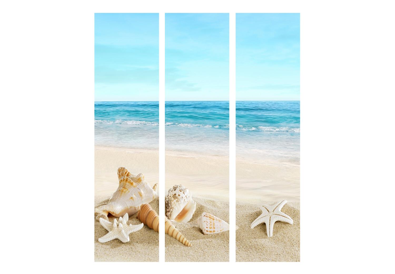 Room Divider Blue Tranquility (3-piece) - beach landscape and blue sea