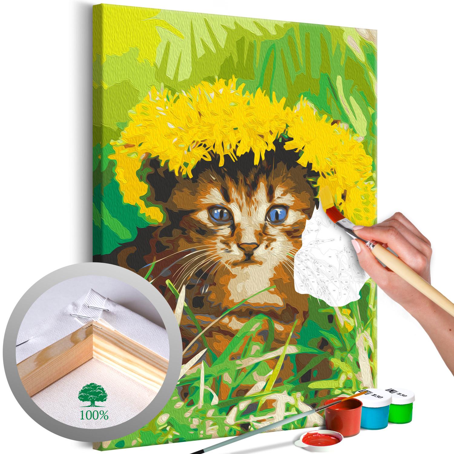 Paint by Number Kit Dandelion Cat