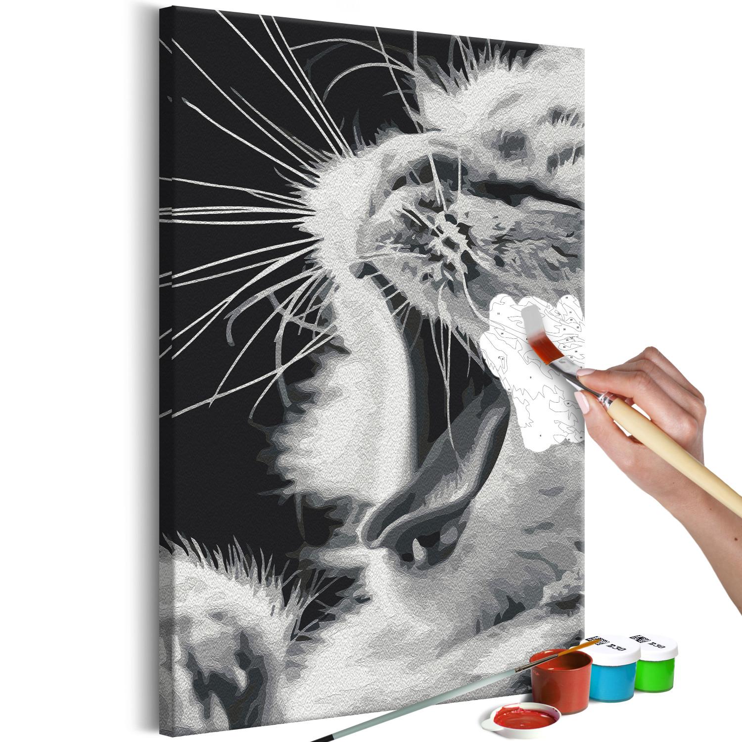 Paint by Number Kit Yawning Kitten