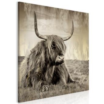Canvas Rest in the Meadow (1-piece) Square - bull amidst nature in sepia