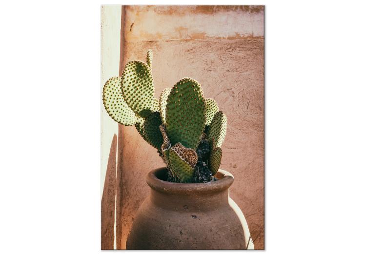 Cactus in a Pot (1-piece) Vertical - green plant in Morocco