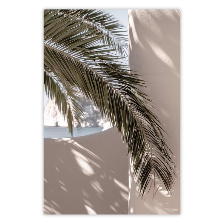 Terrace with a View - natural composition of palm tree against a light wall