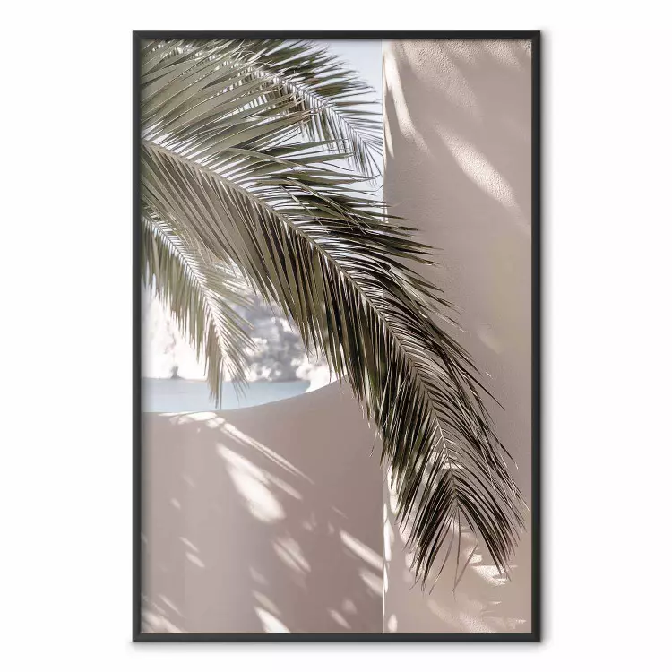 Terrace with a View - natural composition of palm tree against a light wall