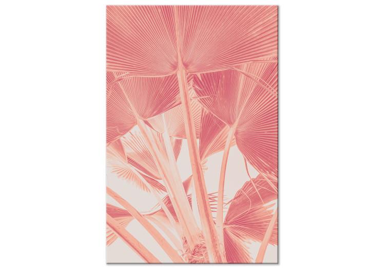 Pink palm - overexposed image of palm leaves in pink