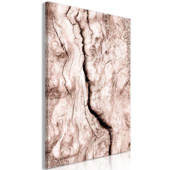 Canvas Tree bark - black and white closeup on a bright bark