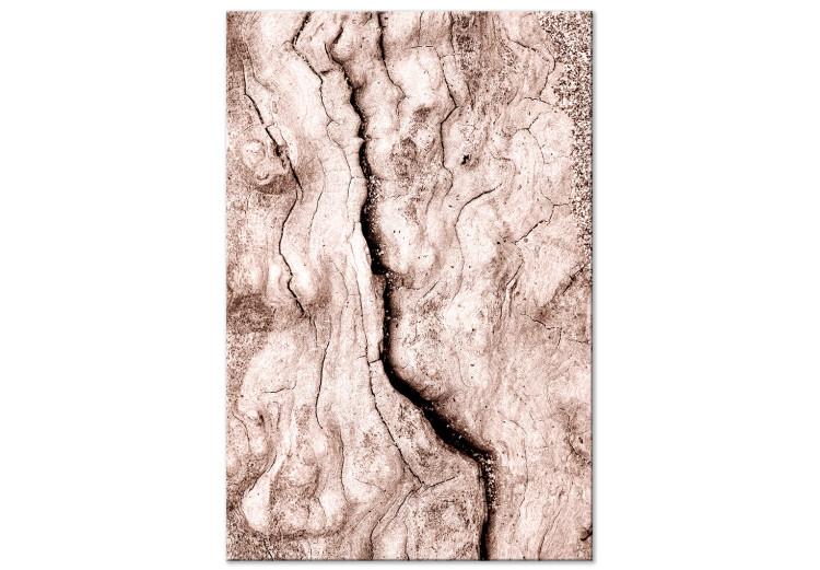 Canvas Print Tree bark - black and white closeup on a bright bark