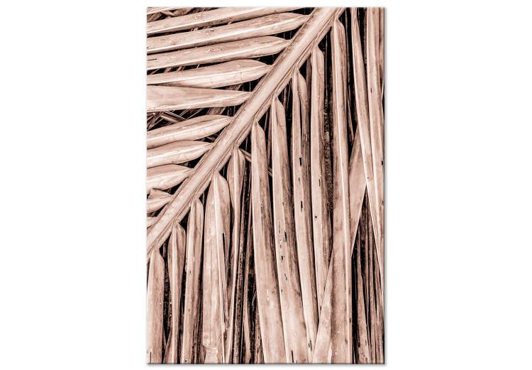 Canvas Print Dry palm - dried palm leaf set under a sharp angle
