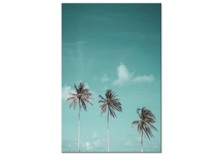 Canvas Print Three palms - Image of three trees on a blue sky
