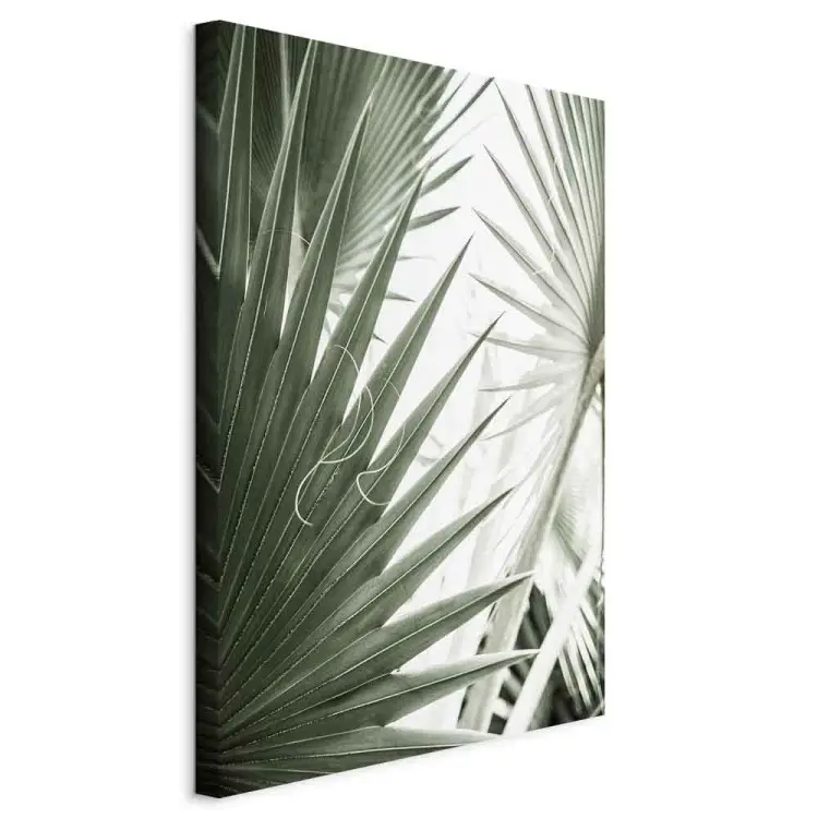 Plant needles - image of sharp exotic plants in cold green