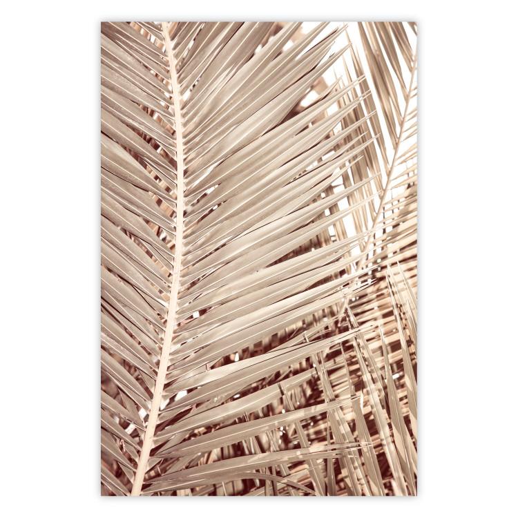 Beige Palm - composition of tropical palm leaves in golden hue