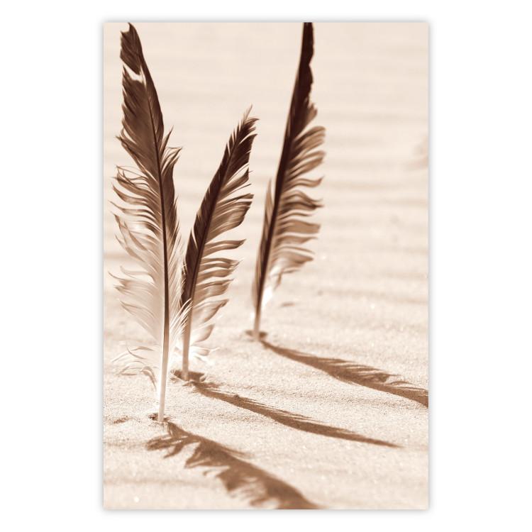 Shady Feathers - marine composition of feathers in sand in sepia colors