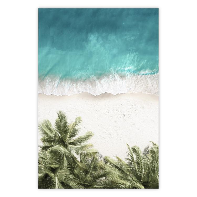 Turquoise Expansion - tropical beach and plant landscape against sea