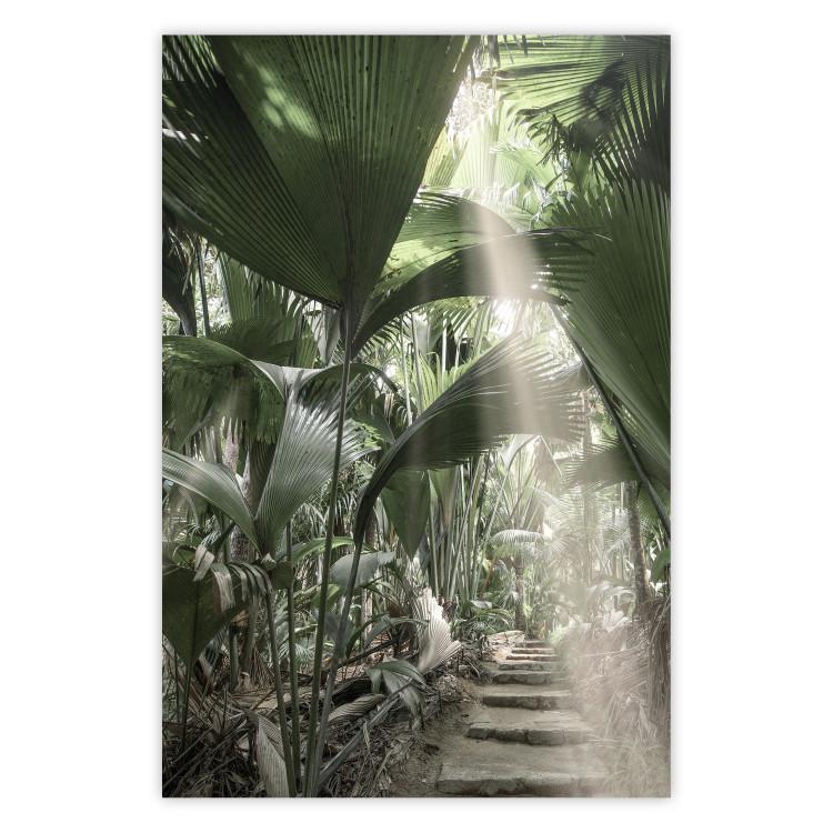 Beam of Light - tropical composition of green jungle in sunlight