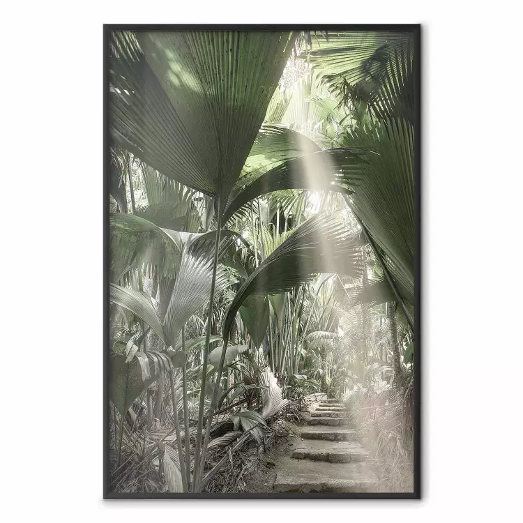 Beam of Light - tropical composition of green jungle in sunlight