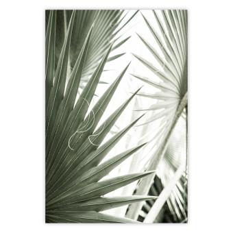 Poster Great Brilliance - tropical composition of green leaves on a light background