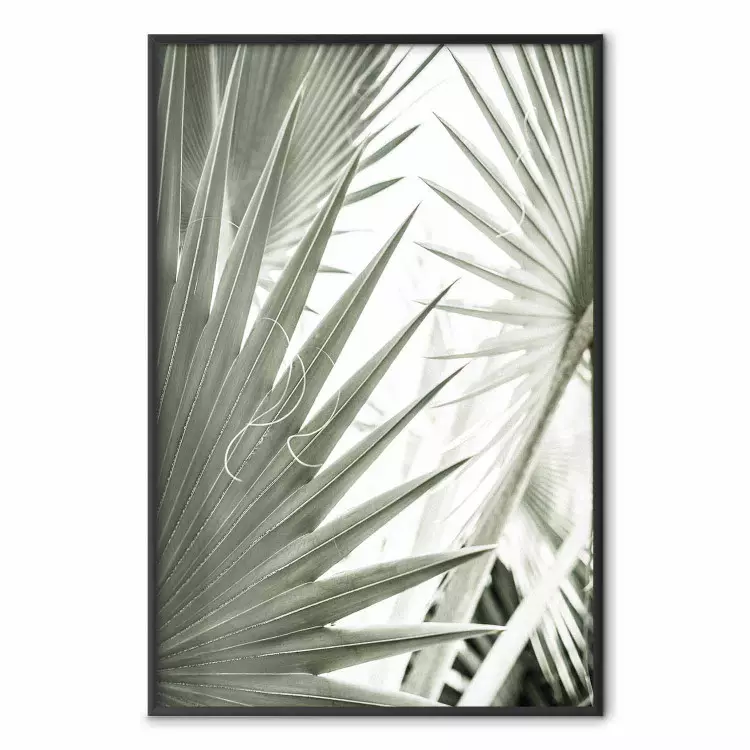 Great Brilliance - tropical composition of green leaves on a light background