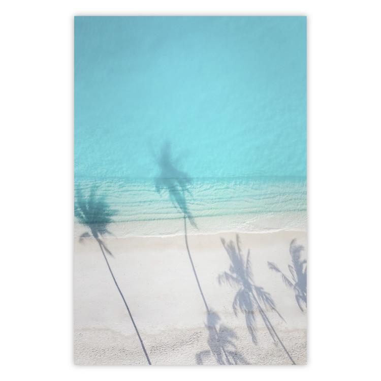Turquoise Morning - seaside landscape with vivid shadow of palms