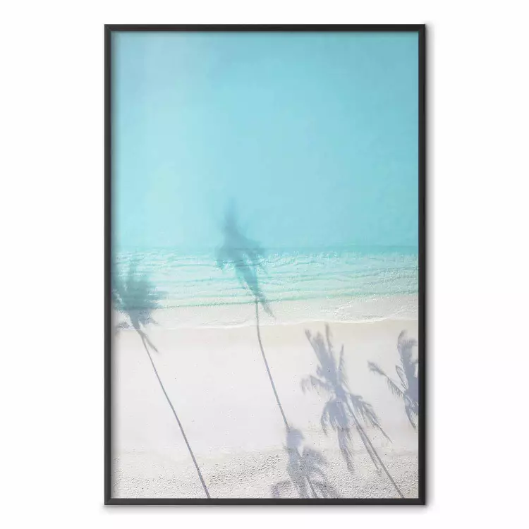 Turquoise Morning - seaside landscape with vivid shadow of palms